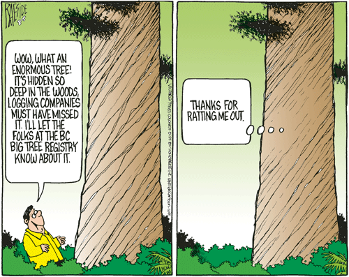 RAESIDE CARTOON | iNFOnews.ca RAESIDE CARTOON | iNFOnews.ca