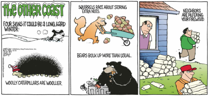 RAESIDE CARTOON | iNFOnews.ca