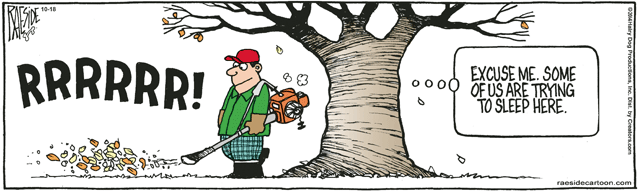 RAESIDE CARTOON | iNFOnews.ca