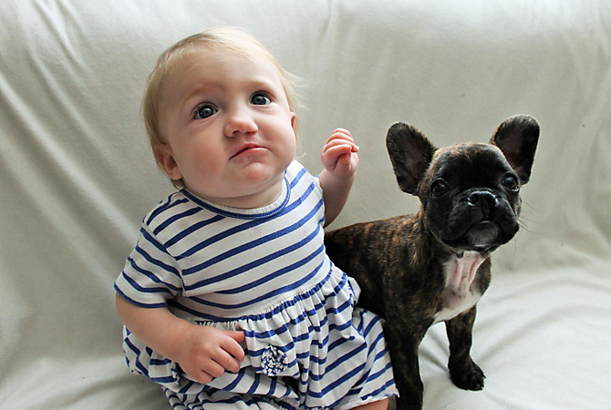 Cleft lip puppy finds her soul mate | iNFOnews.ca Cleft lip puppy finds her soul mate | iNFOnews.ca