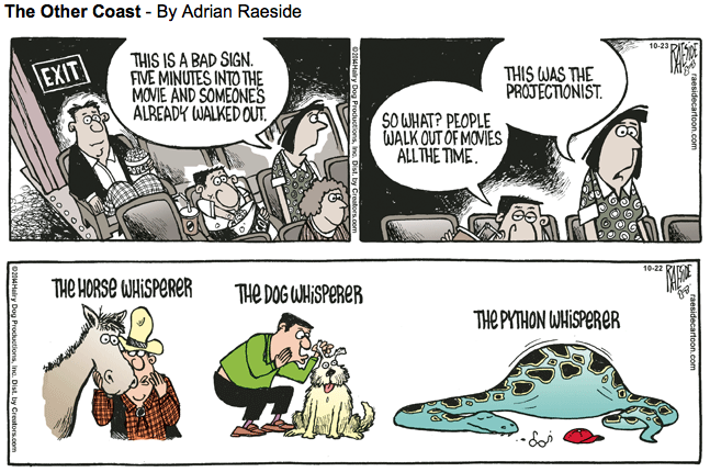 RAESIDE CARTOON | iNFOnews.ca