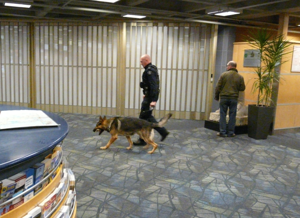 Alberta man charged with threatening WestJet flight in Kelowna | iNFOnews.ca