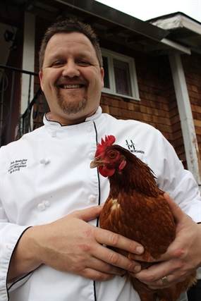 Backyard hens prove popular with neighbours | iNFOnews.ca