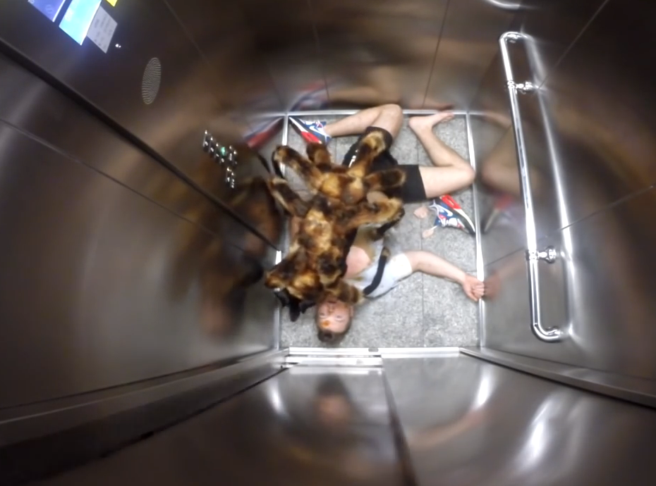 Mutant giant spider dog | iNFOnews.ca Mutant giant spider dog | iNFOnews.ca
