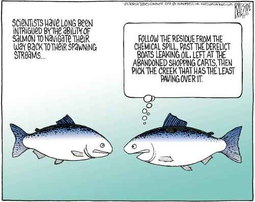 RAESIDE CARTOON | iNFOnews.ca RAESIDE CARTOON | iNFOnews.ca