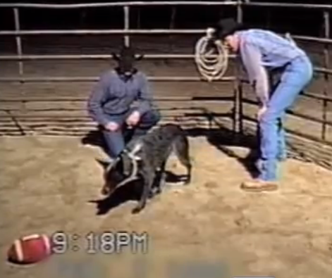 Your kids don't listen this well | iNFOnews.ca