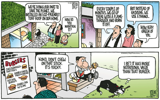 RAESIDE CARTOON | iNFOnews.ca