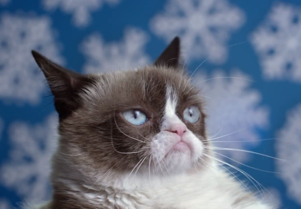 Grumpy Cat's Worst Christmas Ever | iNFOnews.ca Grumpy Cat's Worst Christmas Ever | iNFOnews.ca