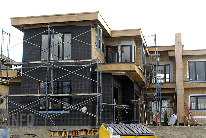 Trees blocking million dollar view vandalized in Lower Mission | iNFOnews.ca Trees blocking million dollar view vandalized in Lower Mission | iNFOnews.ca