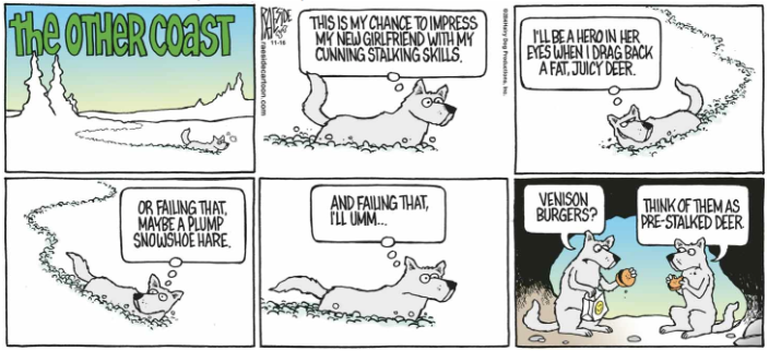 RAESIDE CARTOON | iNFOnews.ca