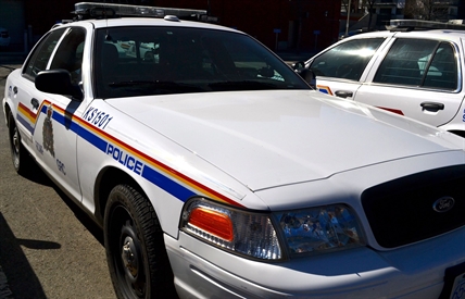 Barnhartvale raid turns up 1,200 marijuana plants | iNFOnews.ca