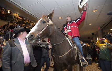 Stampeders' Grey Cup fans horse around with 24-year-old mare in Vancouver | iNFOnews.ca Stampeders' Grey Cup fans horse around with 24-year-old mare in Vancouver | iNFOnews.ca