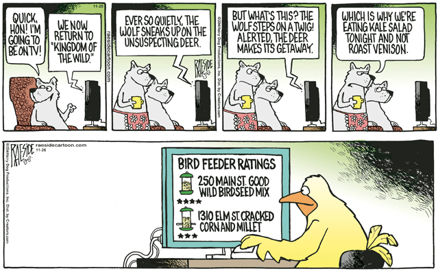 RAESIDE CARTOON | iNFOnews.ca