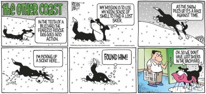 RAESIDE CARTOON | iNFOnews.ca