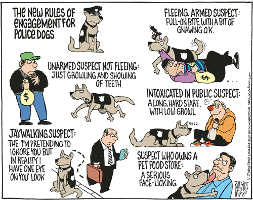 RAESIDE CARTOON | iNFOnews.ca