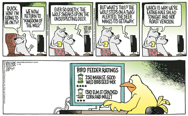 RAESIDE CARTOON | iNFOnews.ca