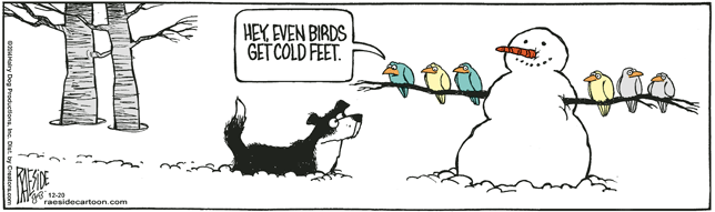 RAESIDE CARTOON | iNFOnews.ca