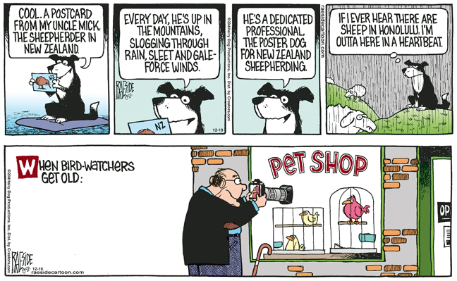 RAESIDE CARTOON | iNFOnews.ca