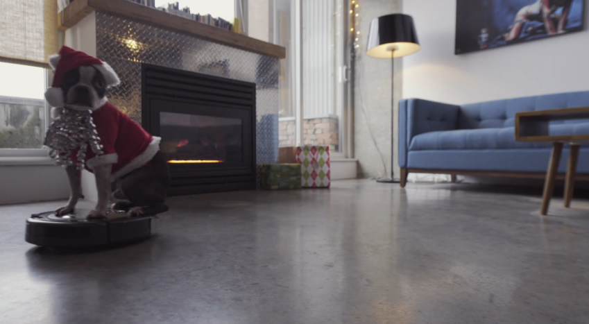 Santa Dog on a Roomba | iNFOnews.ca