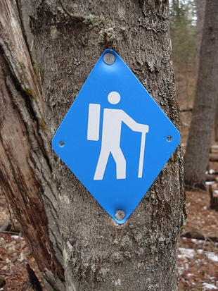 RESOLUTIONS: Getting into an exercise routine | iNFOnews.ca