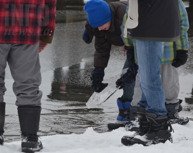 PHOTOS: Brave souls ring in 2015 with Polar Bear Swim in Kal Lake | iNFOnews.ca