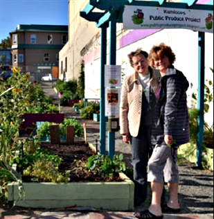 Public garden growing and replanted in new location | iNFOnews.ca Public garden growing and replanted in new location | iNFOnews.ca