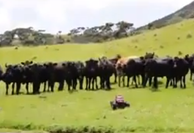 Cowboy not needed | iNFOnews.ca