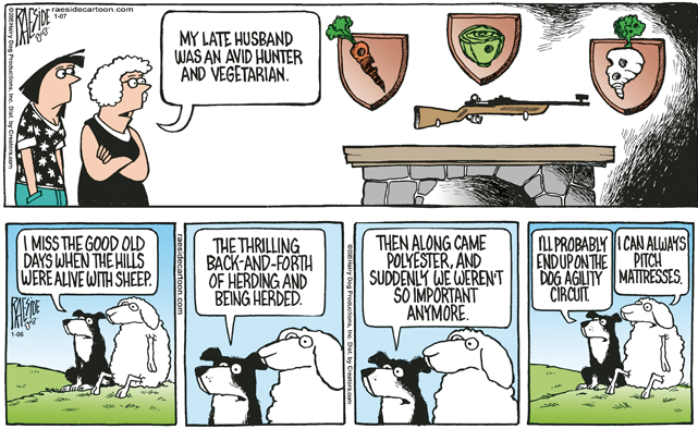 RAESIDE CARTOON | iNFOnews.ca