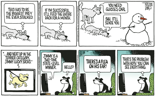 RAESIDE CARTOON | iNFOnews.ca