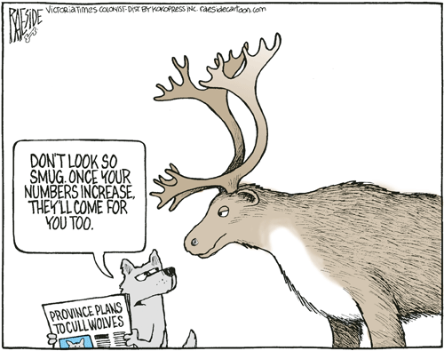 RAESIDE CARTOON | iNFOnews.ca