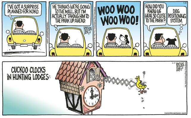 RAESIDE CARTOON | iNFOnews.ca