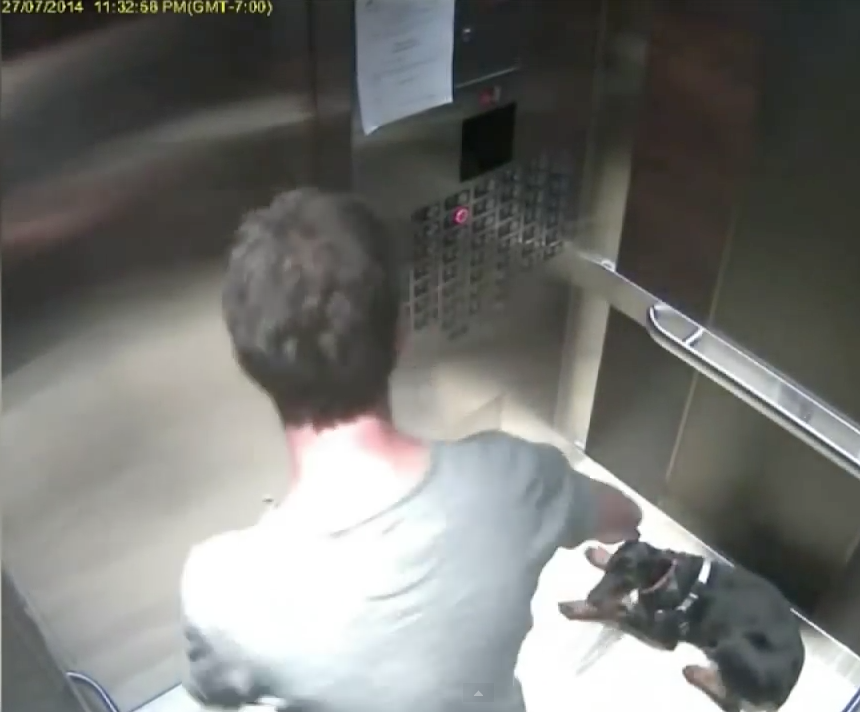 Puppy cruelty charges laid against B.C. man after alleged elevator incident | iNFOnews.ca