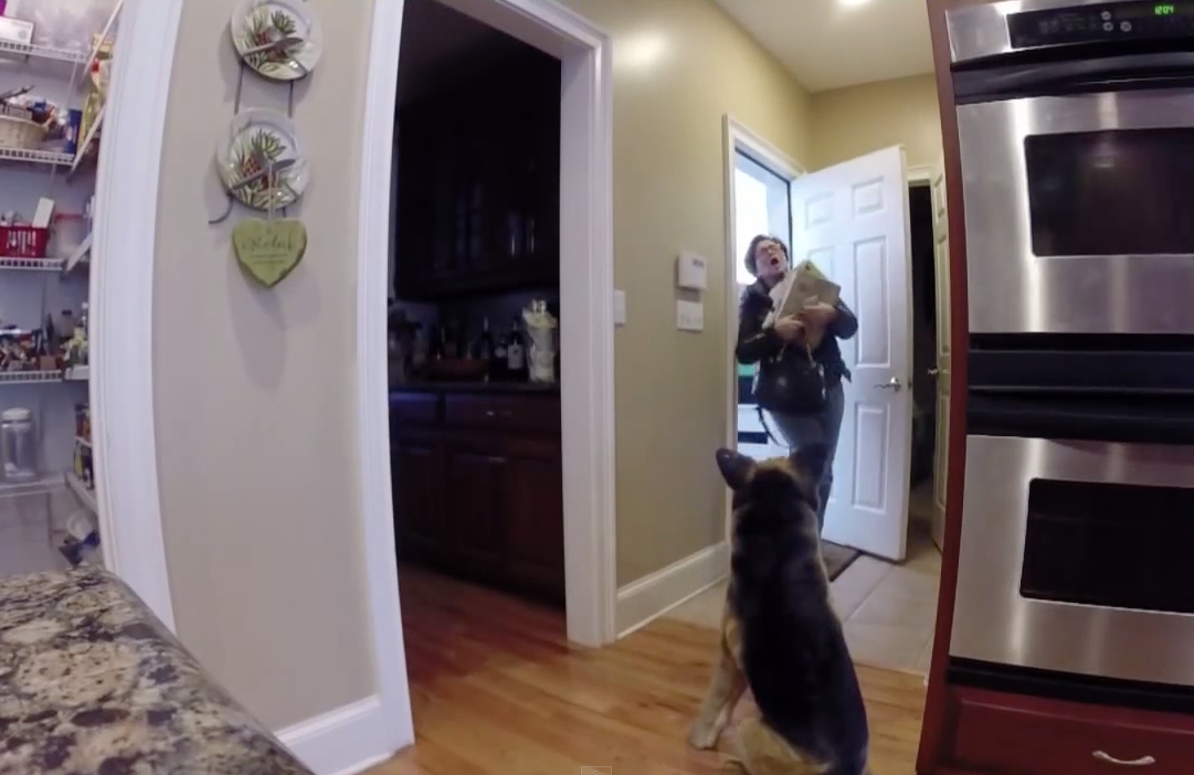 Pranking mom with fake dog | iNFOnews.ca Pranking mom with fake dog | iNFOnews.ca