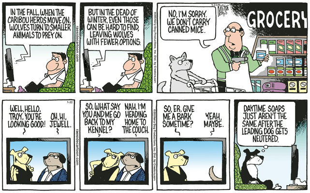 RAESIDE CARTOON | iNFOnews.ca