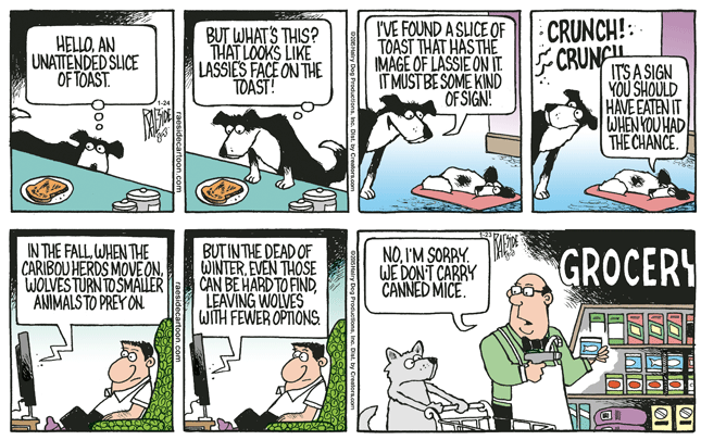 RAESIDE CARTOON | iNFOnews.ca