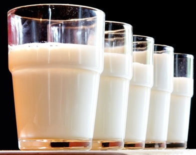 As milk industry fights 'naysayers,' science probes whether milk does a body good | iNFOnews.ca As milk industry fights 'naysayers,' science probes whether milk does a body good | iNFOnews.ca