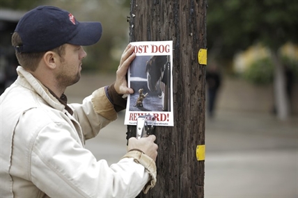 Ten ads to watch out for on Super Bowl Sunday (or just watch them now) | iNFOnews.ca Ten ads to watch out for on Super Bowl Sunday (or just watch them now) | iNFOnews.ca