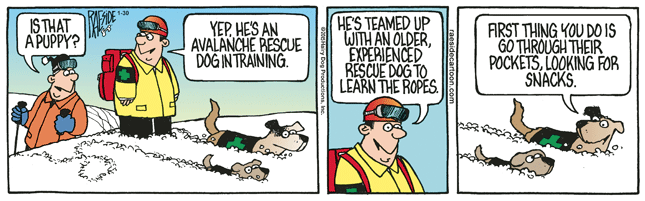 RAESIDE CARTOON | iNFOnews.ca