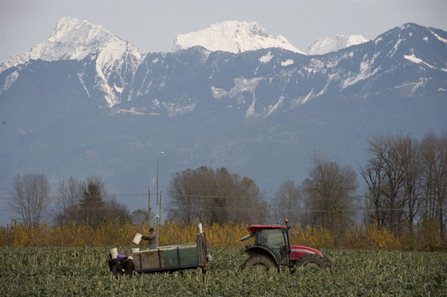 Farmers enjoying low fuel prices but waiting for other shoe to drop | iNFOnews.ca