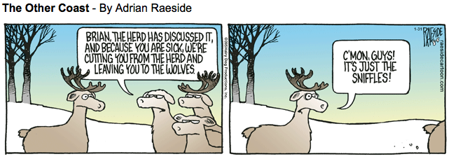 RAESIDE CARTOON | iNFOnews.ca