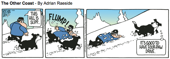 RAESIDE CARTOON | iNFOnews.ca