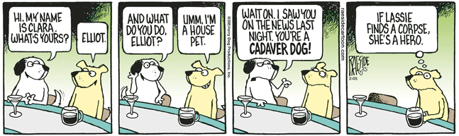 RAESIDE CARTOON | iNFOnews.ca