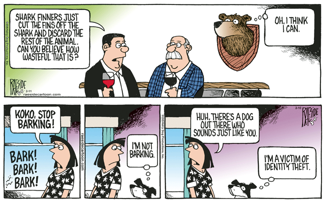 RAESIDE CARTOON | iNFOnews.ca