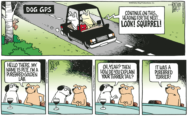 RAESIDE CARTOON | iNFOnews.ca