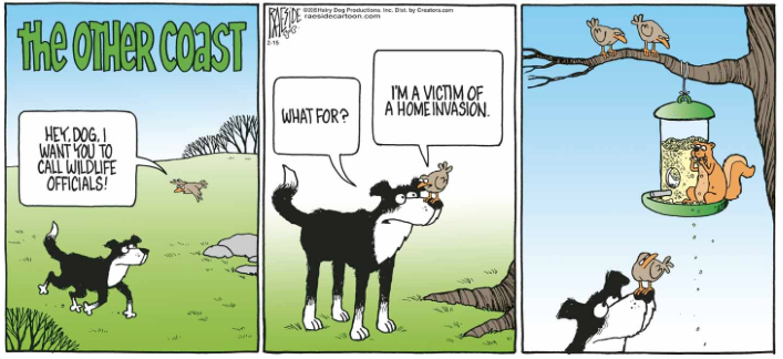 RAESIDE CARTOON | iNFOnews.ca