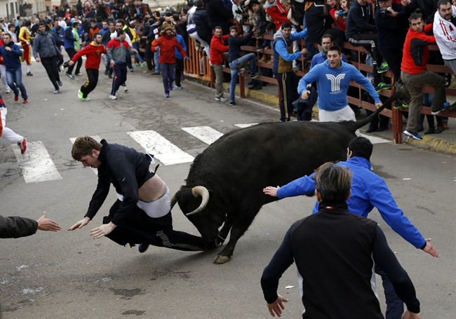 American man gored during a Spanish Carnival bull fiesta | iNFOnews.ca