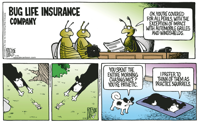 RAESIDE CARTOON | iNFOnews.ca