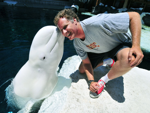 Death of Vancouver Aquarium beluga in Orlando SeaWorld renews breeding debate | iNFOnews.ca Death of Vancouver Aquarium beluga in Orlando SeaWorld renews breeding debate | iNFOnews.ca