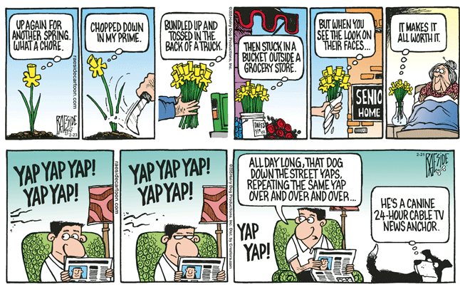 RAESIDE CARTOON | iNFOnews.ca