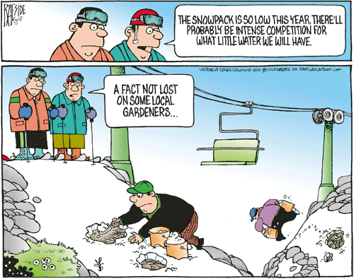 RAESIDE CARTOON | iNFOnews.ca